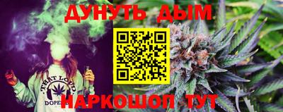 гашик Шелехов