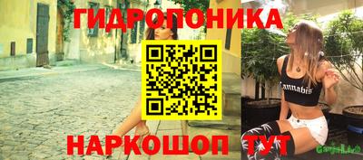 гашик Шелехов