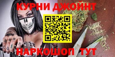 гашик Шелехов