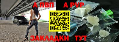 гашик Шелехов