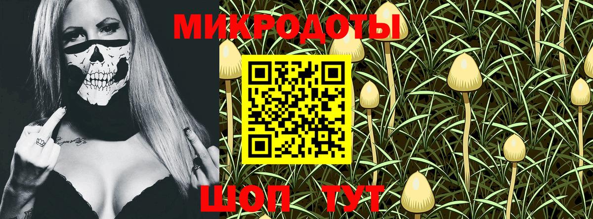 Кунгур  Псилоцибиновые грибы Cubensis  Вход с VPN  Галлюциногенные грибы мухоморы 
